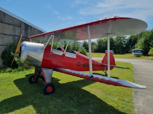 Kiebitz nach Bruchlandung